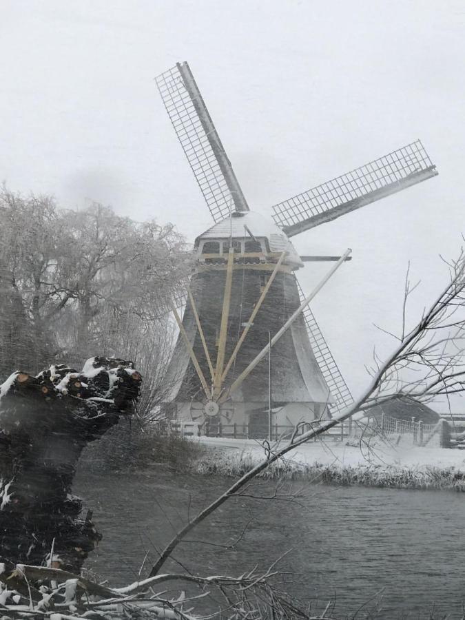 Mondriaanmolen, A Real Windmill Close To Amsterdam Abcoude Eksteriør bilde